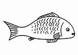 Fish Food Coloring Printables Pages sketch template
