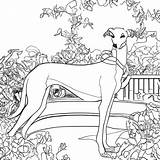 Lady And The Tramp Kiss Coloring Pages sketch template