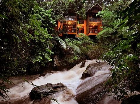 5 Most Charming Tree Houses In India: TripHobo