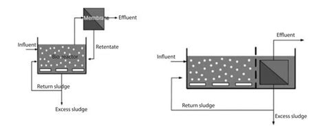 Bioreactor: Design, Principle, Parts, Types, Uses, Diagram