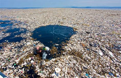 Horrifying images show devastating impact of plastic pollution as idyllic Caribbean waters choke ...