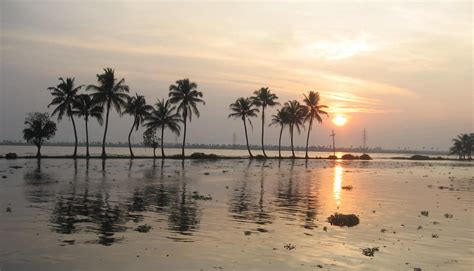 Backwaters of Kerala - Paradise Holidays, Cochin