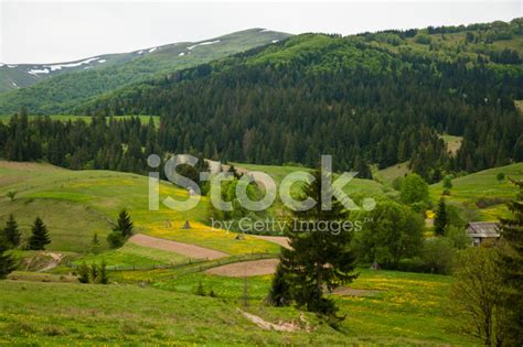 Carpathian Mountains Stock Photo | Royalty-Free | FreeImages