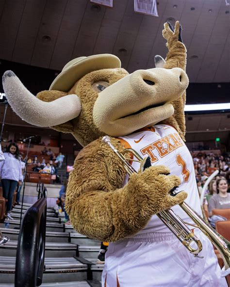 Longhorn Pep Band | Butler School of Music - The University of Texas at Austin