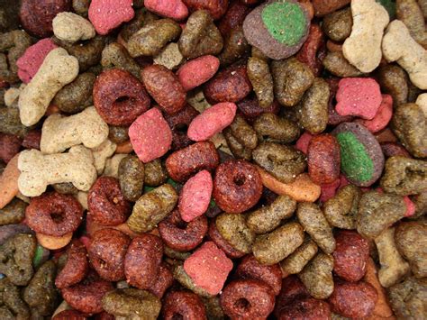 Dry Dog Food 3 Free Photo Download | FreeImages