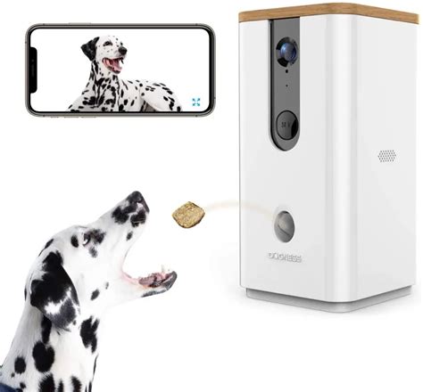 Best Dog Camera for Home Use – Top 5 Editor's Picks