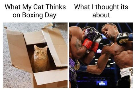 20 Best Boxing Day Memes to Knockout Your Holiday Blues : r/HumorNama