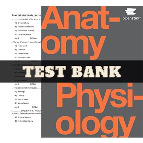 Latest 2023 Anatomy and Physiology 1st Edition by Openstax T | Inspire Uplift