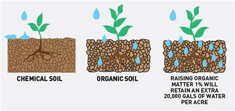 Strategies To Improve Drainage In Farmers Field By Addressing ...