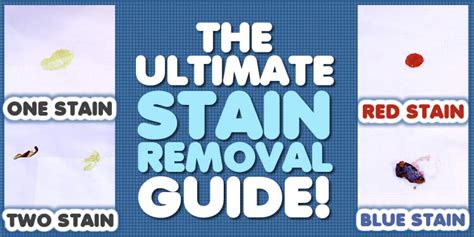 The Ultimate Stain Removal Guide! - Clean My Space