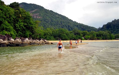 Entree Kibbles: Snorkeling Spot Right Outside Paya Beach Resort @ Tioman Island [Malaysia]