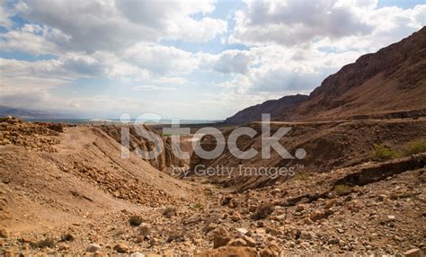 Negev Desert - Israel Stock Photo | Royalty-Free | FreeImages