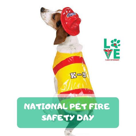 National Pet Fire Safety Day is observed annually on July 15th. Just ...