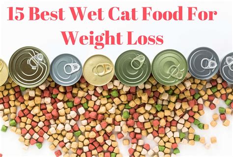 15 Best Wet Cat Food For Weight Loss (2022) | ProudCatOwners