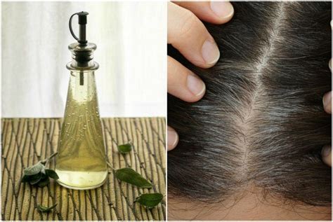 How To Make A Sage Vinegar Rinse To Darken Gray Hairs | Natural gray ...