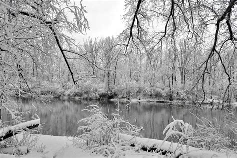 Bleak winter stock photo. Image of bleakness, bleak, morrow - 40668018