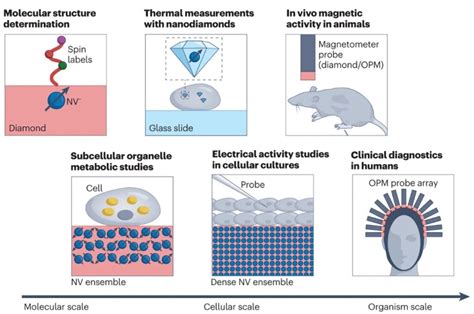 What are quantum sensors?