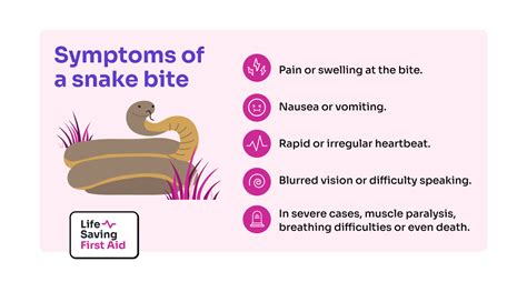 Symptoms Snake Bite - Life Saving First Aid