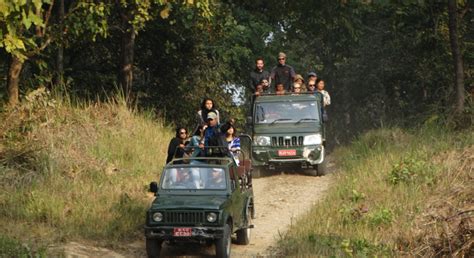 Chitwan jeep Safari, Chitwan wildlife , full day Jeep safari