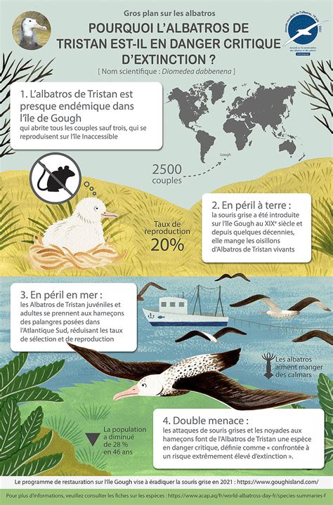 Agreement on the Conservation of Albatrosses and Petrels - Tristan Albatross/L’albatros de ...