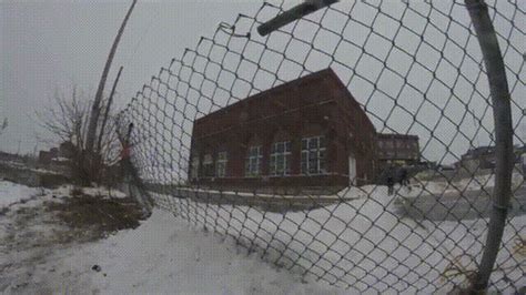 Fence GIF - Find & Share on GIPHY