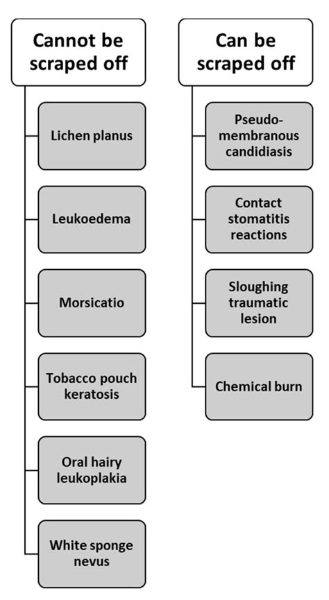 Oral | Free Full-Text | White Sponge Nevus, a Rare but Important Entity