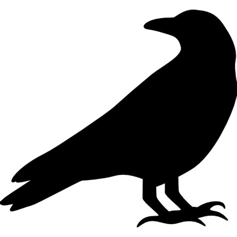 Crow symbolism and its Spiritual meaning - The Monk Life