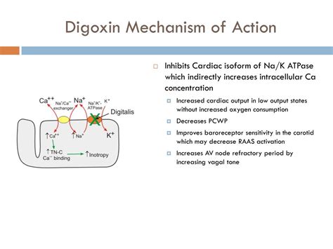 PPT - Digoxin use and toxicity PowerPoint Presentation, free download - ID:2970214