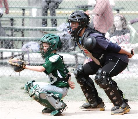 Umpires – Zionsville Little League