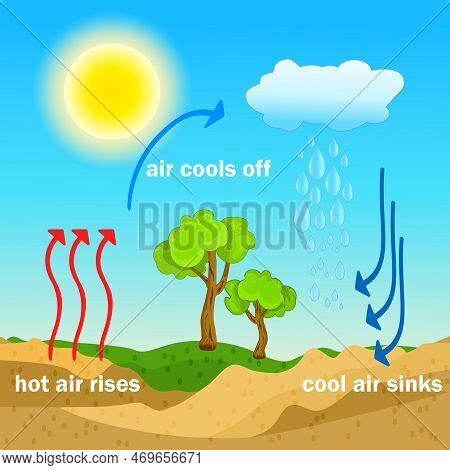 Convection Process Vector & Photo (Free Trial) | Bigstock