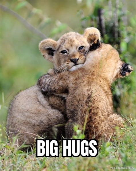 BIG HUGS - Meme Generator