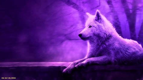 Cool Fire Wolf Wallpapers - Top Free Cool Fire Wolf Backgrounds ...