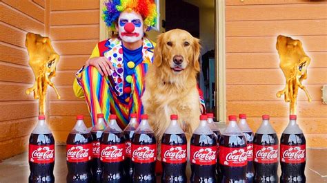 Funny Clown Pranks Sammie with Coca Cola and Mentos - YouTube