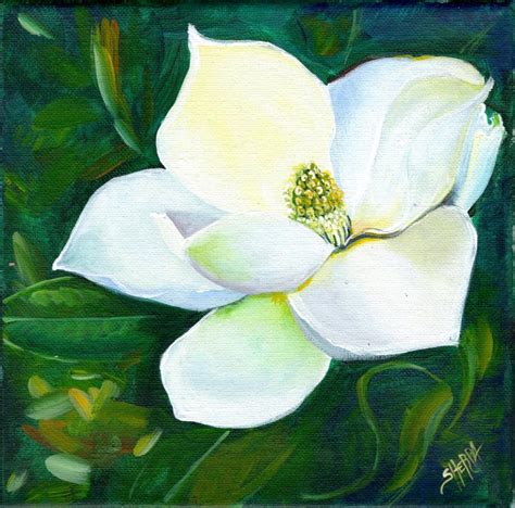 Magnolia Flower Painting | Best Flower Site