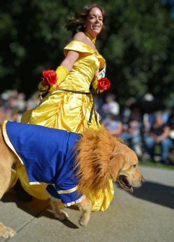 33 Dog & Owner Halloween Costumes to Bark, Boo, & Be Seen | LoveToKnow Pets