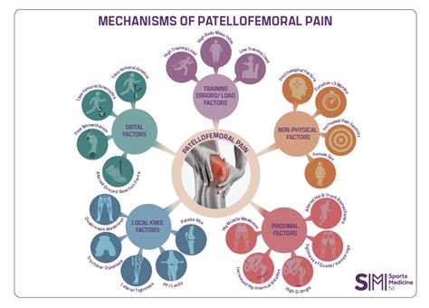 Patellofemoral Pain Syndrome. What is it? Risk factors. Belfast,