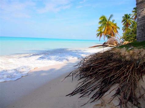 The Top 10 Beaches To Visit In Haiti