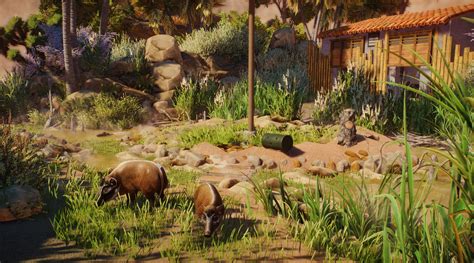 Red River Hog Habitat (Desert themed Zoo) | Frontier Forums