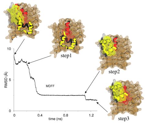 Membranes | Special Issue : Structure and Function of Membrane Receptors