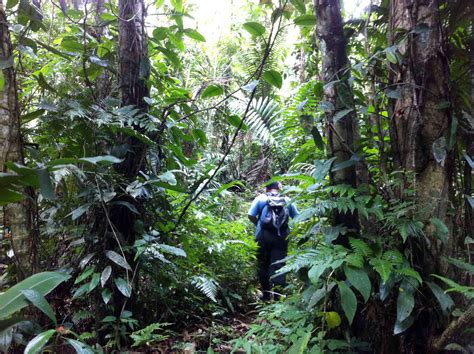 Rainforest Tropical Hike in Costa Rica