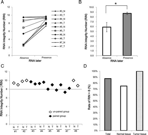 Effect of RNAlater treatment of pancreas tissues on RNA integrity. A ...