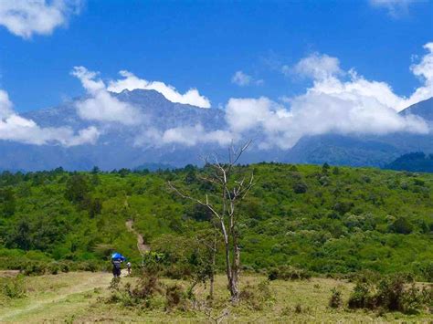 Affordable Arusha National Park Day Trip | Viva Africa Tours