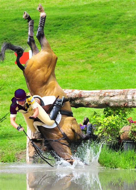 Horses In The Olympics | Eventing horses, Horses, Horse life