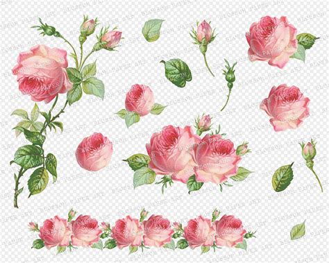 Pink Rose Clipart Set Vintage Rose PNG Digital Roses - Etsy