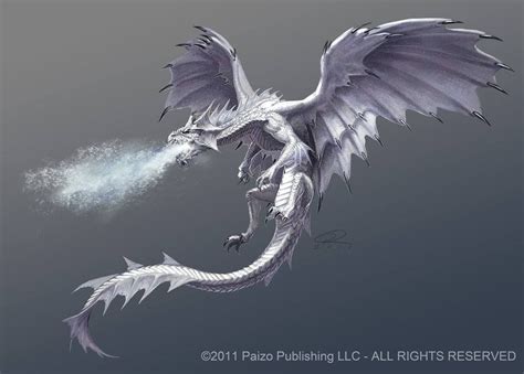 This is my dragon. She is an ice dragon. She isn't like the rest. Her ...