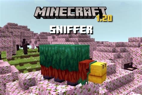 Minecraft Sniffer: Everything You Need to Know | Beebom