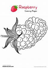 Raspberry Coloring Pages For Kids – Free Printables  Art & Craft sketch template