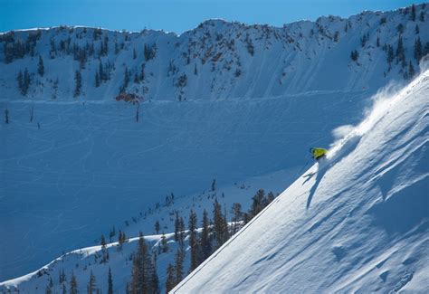 Snowbird Ski Resort [Skiing, Dining, Resorts] | Visit Utah