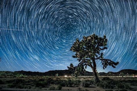 Star Trails Photography — Visit Joshua Tree