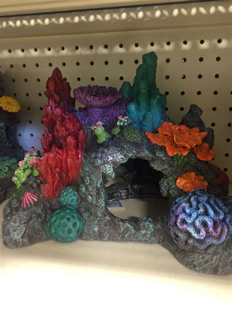 Decor petsmart | Fish tank decorations, Fish tank, Petsmart